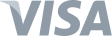 Logo Visa